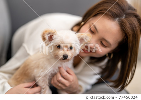 Young woman living with small dog Young woman living with small dog 77450024
