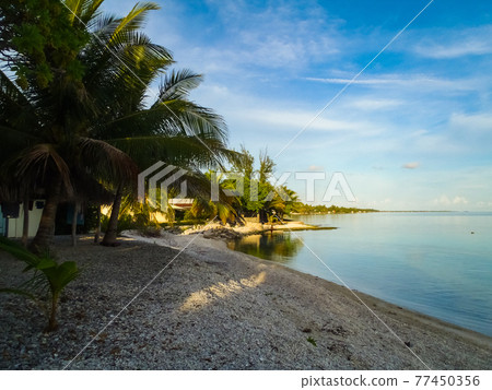 Quiet lagoon before sunset on a tropical remote island (Rangiroa Atoll, Tuamotus Islands, French Polynesia) 77450356
