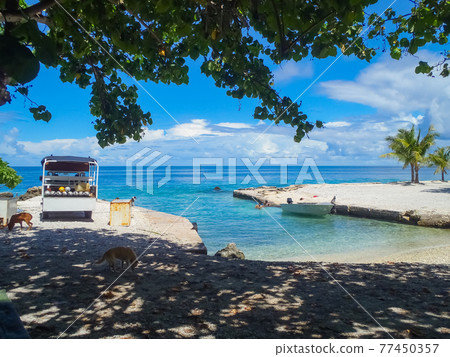 Small tropical beach harbor (Rangiroa Atoll, Tuamotus Islands, French Polynesia) Small tropical beach harbor (Rangiroa Atoll, Tuamotus Islands, French Polynesia) 77450357