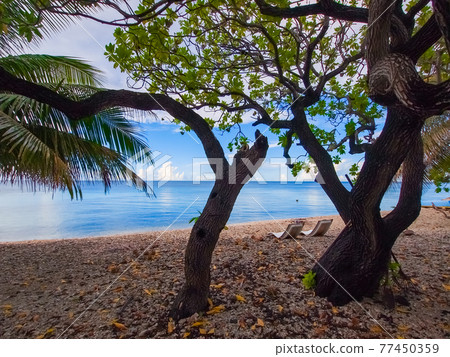 Quiet lagoon on a remote tropical island (Rangiroa Atoll, Tuamotus Islands, French Polynesia) Quiet lagoon on a remote tropical island (Rangiroa Atoll, Tuamotus Islands, French Polynesia) 77450359