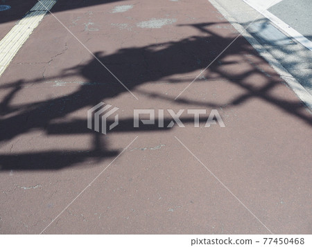 Shadow of telephone pole 77450468