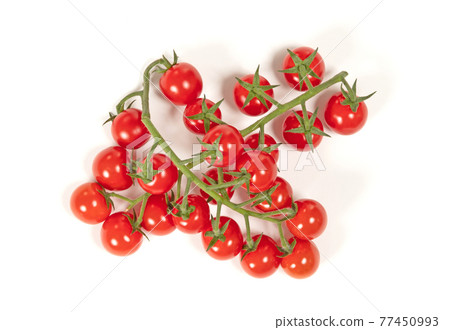 Twig of fresh cherry tomato on white Twig of fresh cherry tomato on white 77450993