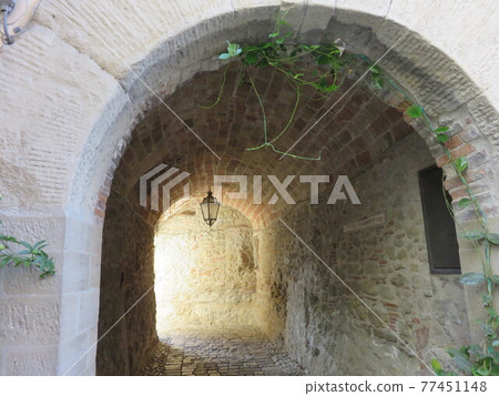 Historical detail Historical detail 77451148
