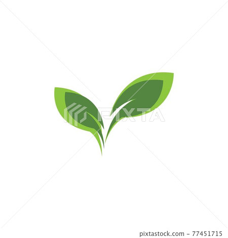 Green leaf logo Green leaf logo 77451715