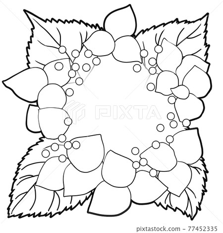 Hydrangea line drawing Hydrangea line drawing 77452335
