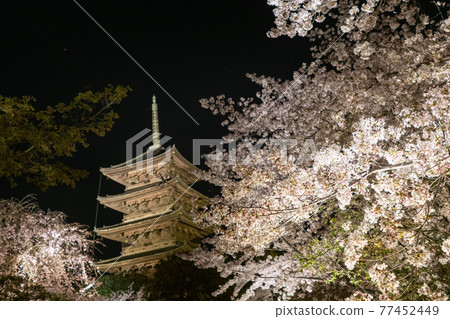 東寺春天點亮 77452449