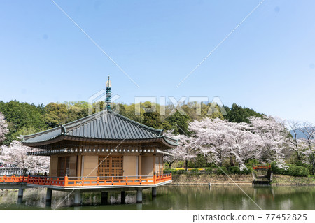 Abe Monjuin, Sakurai City, Nara Prefecture Abe Monjuin, Sakurai City, Nara Prefecture 77452825