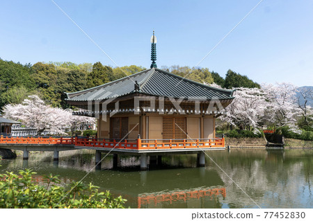 奈良縣櫻井市阿部文重院 77452830