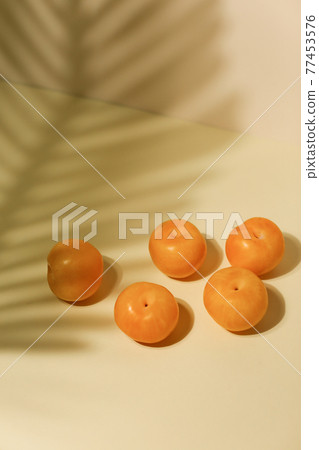 Marian Plum, prange plum on neutral background with palm shadow Marian Plum, prange plum on neutral background with palm shadow 77453576