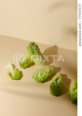 Baby cabbage on beige background 77453577