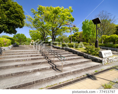 Kameido Central Park, Koto-ku, Tokyo 77453797