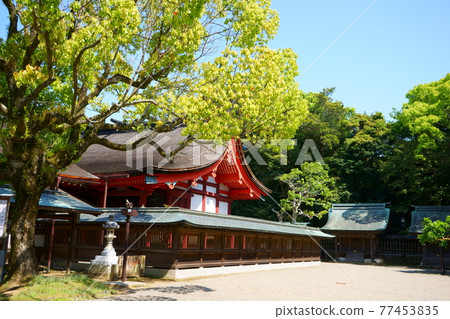 Main shrine and end shrine of Munakata Taisha Main shrine and end shrine of Munakata Taisha 77453835