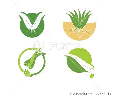 aloevera logo icon vector illustration design 77454014