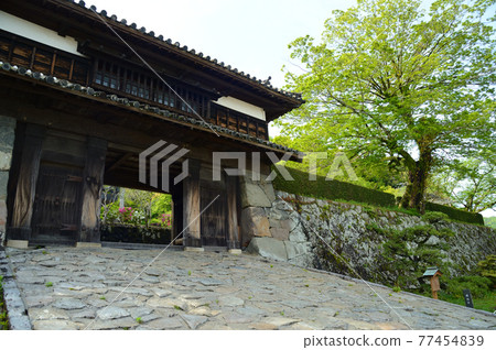 Cityscape of Saiki City, Oita Prefecture 77454839