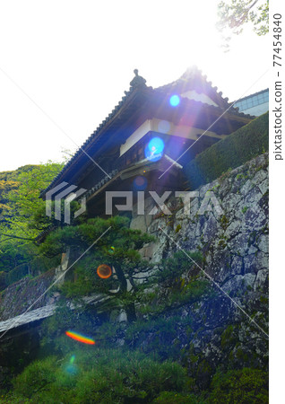 Cityscape of Saiki City, Oita Prefecture 77454840