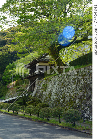 大分縣佐伯市街景 大分縣佐伯市街景 77454841
