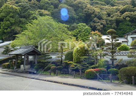 大分縣佐伯市街景 77454848