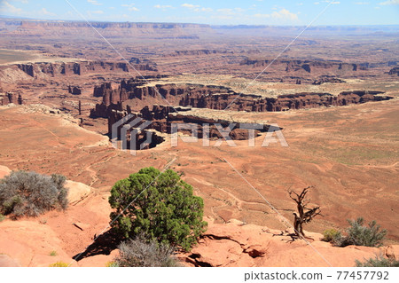 Canyonlands: crater of stone monuments and pillars Canyonlands: crater of stone monuments and pillars 77457792
