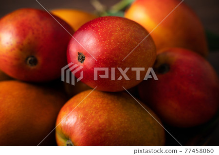 Mango Wood Wooden Fresh Taiwan Fruit Mango fruit Taiwan マンゴー 77458060