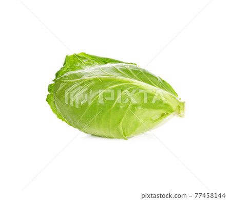 Fresh cos lettuce on white background 77458144