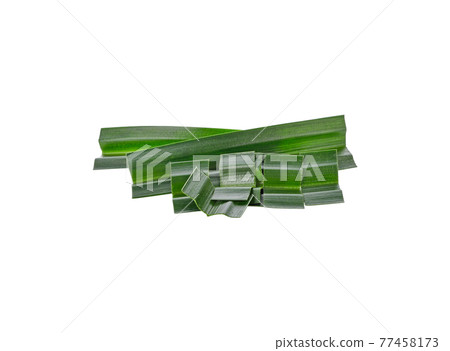 fresh pandan leaves isolated on white background 77458173