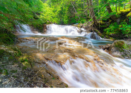 夏天在乘鞍高原的三盆瀑布[長野縣] 77458863