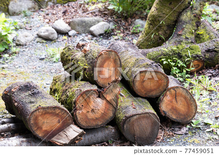 Chichibu City, Saitama Prefecture, Nakasendo post station, Kakashi no Sato, log storage area Chichibu City, Saitama Prefecture, Nakasendo post station, Kakashi no Sato, log storage area 77459051