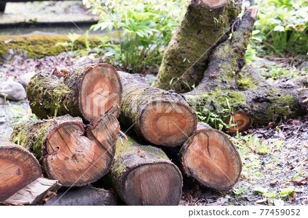 Chichibu City, Saitama Prefecture, Nakasendo post station, Kakashi no Sato, log storage area Chichibu City, Saitama Prefecture, Nakasendo post station, Kakashi no Sato, log storage area 77459052