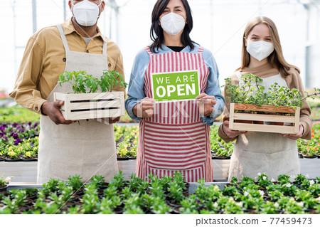 People working in greenhouse in garden center, store open after coronavirus lockdown. 77459473