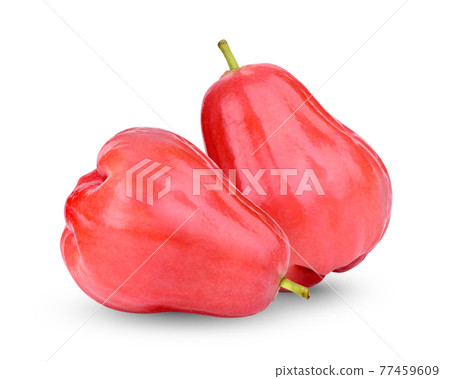 Fresh rose apple isolated on white background Fresh rose apple isolated on white background 77459609