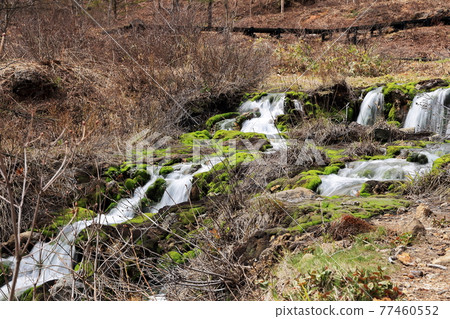 Chatsubomi Moss Park,群馬縣中之條町,安娜地獄,天然紀念物 Chatsubomi Moss Park,群馬縣中之條町,安娜地獄,天然紀念物 77460552