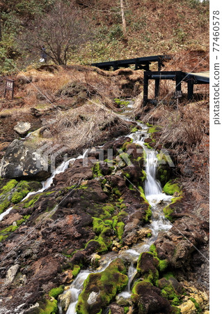 Chatsubomi Moss Park,群馬縣中之條町,安娜地獄,天然紀念物 Chatsubomi Moss Park,群馬縣中之條町,安娜地獄,天然紀念物 77460578