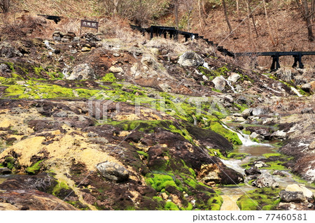 Chatsubomi Moss Park,群馬縣中之條町,安娜地獄,天然紀念物 Chatsubomi Moss Park,群馬縣中之條町,安娜地獄,天然紀念物 77460581