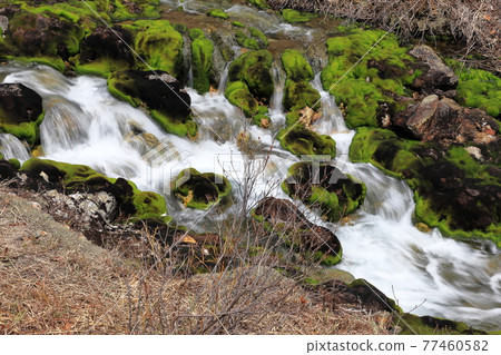 Chatsubomi Moss Park,群馬縣中之條町,安娜地獄,天然紀念物 Chatsubomi Moss Park,群馬縣中之條町,安娜地獄,天然紀念物 77460582