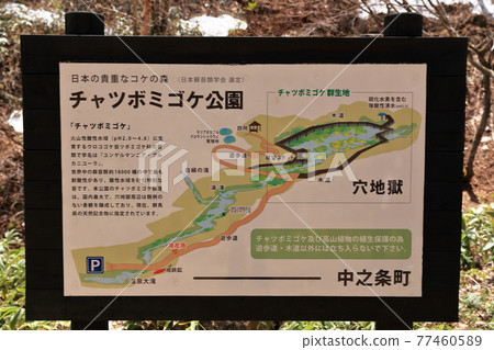 Chatsubomi Moss Park,群馬縣中之條町,安娜地獄,天然紀念物 Chatsubomi Moss Park,群馬縣中之條町,安娜地獄,天然紀念物 77460589