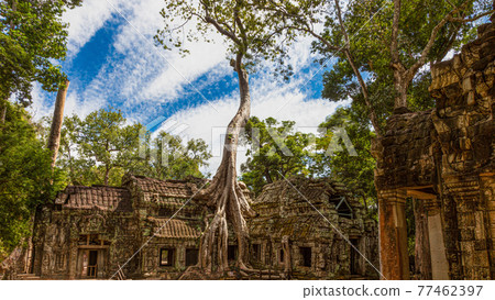 Mystical and famous ruins of Anchor Wat in Cambodia with no people in summer 77462397