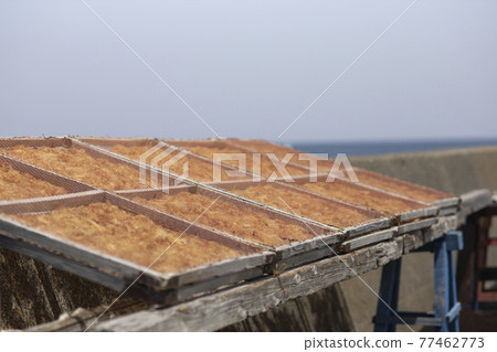 Drying of gelidiaceae 77462773