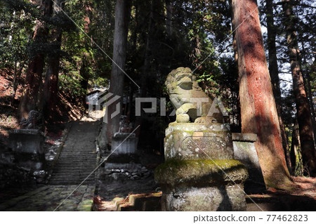 浪漫茨城(日立大宮市高武市諏訪神社) 浪漫茨城(日立大宮市高武市諏訪神社) 77462823
