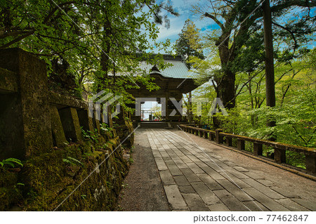 Haruna Shrine Zuijinmon Return Haruna Shrine Zuijinmon Return 77462847