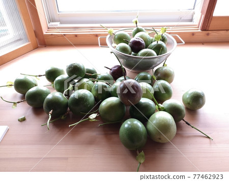 passion fruit  77462923