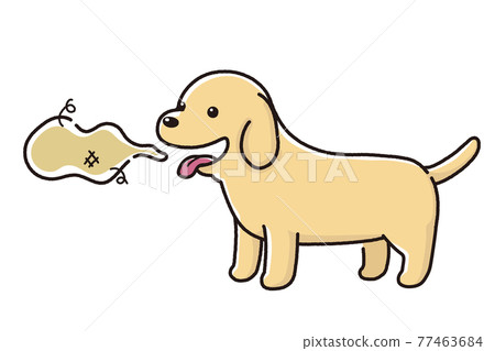 a dog bad breath