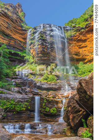 Wentworth Falls in the Blue Mountains Wentworth Falls in the Blue Mountains 77464009