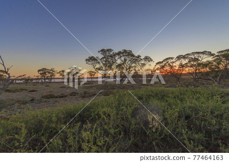Sunset in the Australian outback 77464163