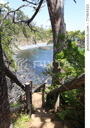 通往氣仙沼大島和龍舞崎的乙姬洞的樓梯 77464503