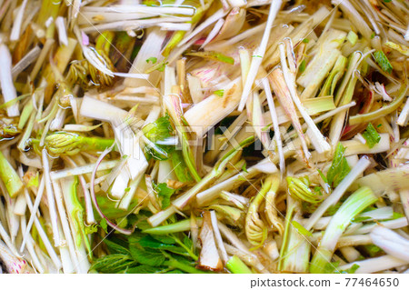 香噴噴的春天野菜“山烏多”：浸泡在水中並瀝乾的蔬菜 77464650