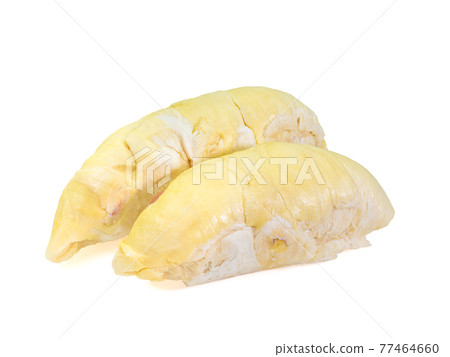 Yellow durian, a close up of Thai tropical smelly fruit food isolated on white background. Yellow durian, a close up of Thai tropical smelly fruit food isolated on white background. 77464660