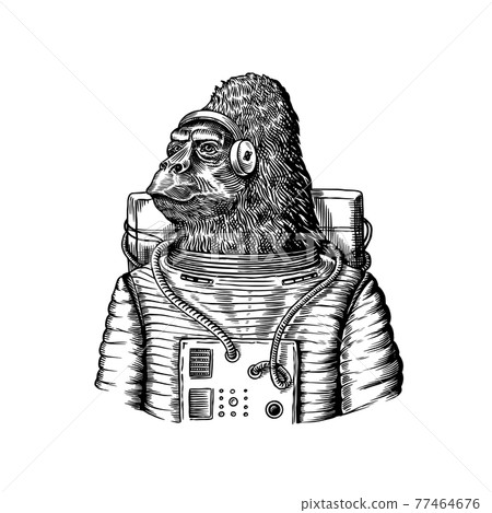 Gorilla astronaut character. Monkey spaceman cosmonaut. Fashionable animal, vitorian gentleman in a 77464676