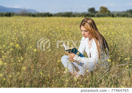 Young woman reading a book in a field of yellow flowers Young woman reading a book in a field of yellow flowers 77464765