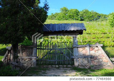 The Wine hill of Sabile, Latvia The Wine hill of Sabile, Latvia 77464980