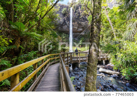 New Zealand waterfall 77465003
